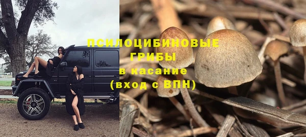 скорость Арсеньев