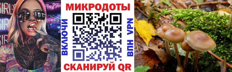 где купить Сертолово Псилоцибиновые грибы прущие грибы