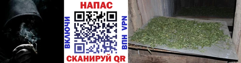 Канабис SATIVA & INDICA  Сертолово 
